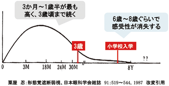 乳幼児期は視覚の感受性期間